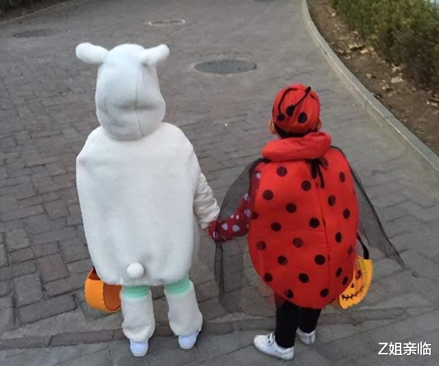 张延|20年前,4位“粉红女郎”一夜爆红,如今她们的事业和婚姻竟差距这么大