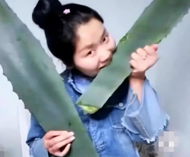 互联网大会|假扮“班主任”？该管管这类型的网红了，网络上应该传递的是正能量