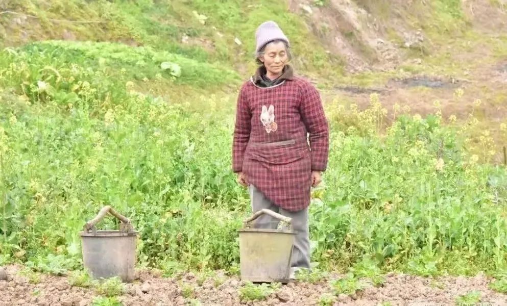 长寿|86岁阿婆从未生过病，其健康长寿的“秘诀”竟如此简单！