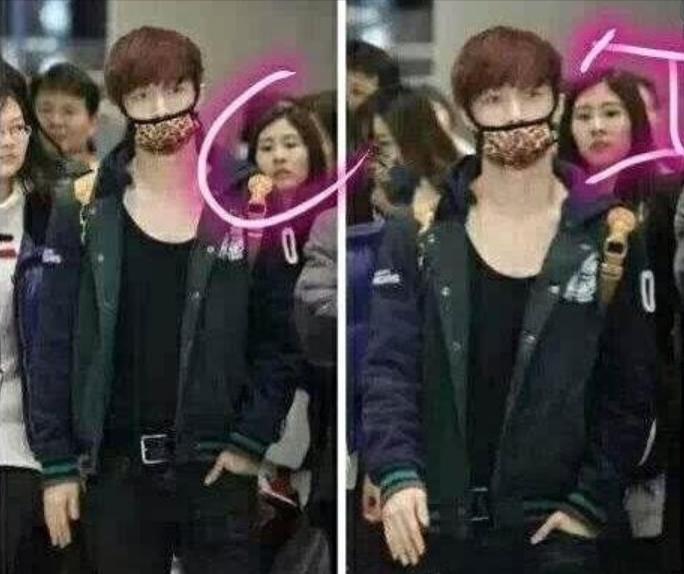 张碧晨|张碧晨,也走到了今天