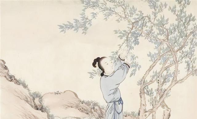 老祖宗忠告：“坟不栽三，宅不栽四”，究竟指哪7种树呢？