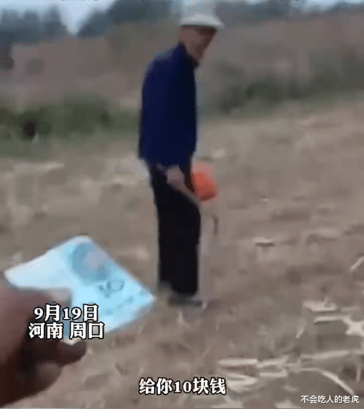 安徽阜阳：老人在收割机前偷玉米，离收割机仅1米距离，司机：当时吓死我了