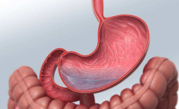 排便|每天在这时间段排便的人，寿命或许会更长