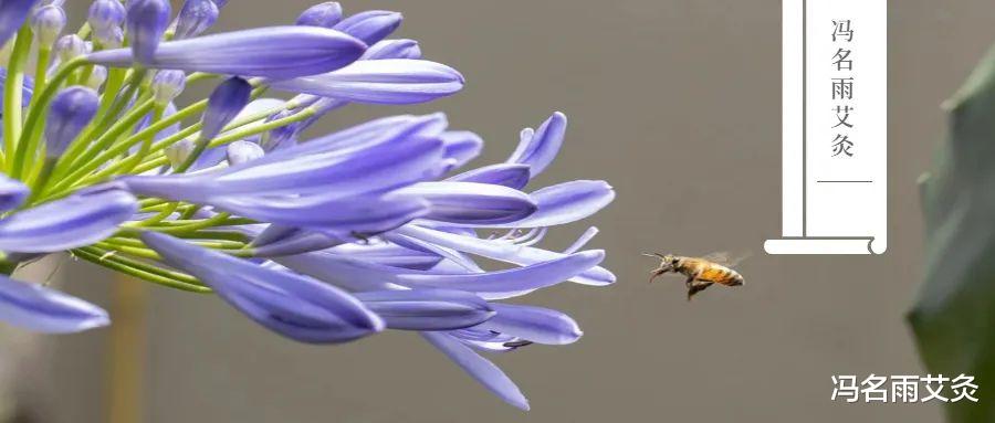 疾病|节气:端午节五毒皆出,抗毒的首选食物和穴位