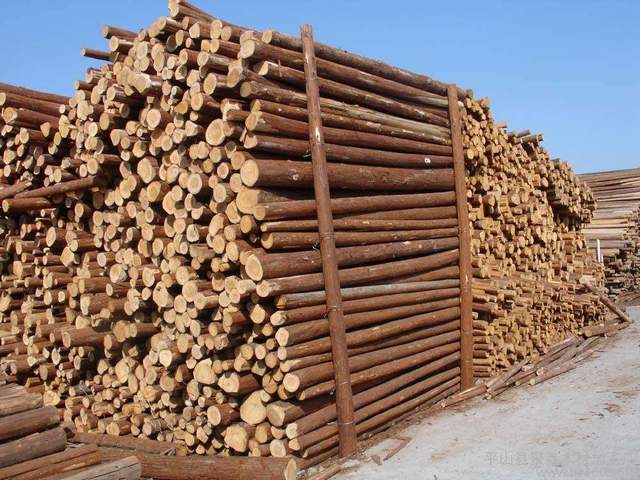 职场故事|解惑丨企业未将本单位职业危害告知职工的这种做法是否违法