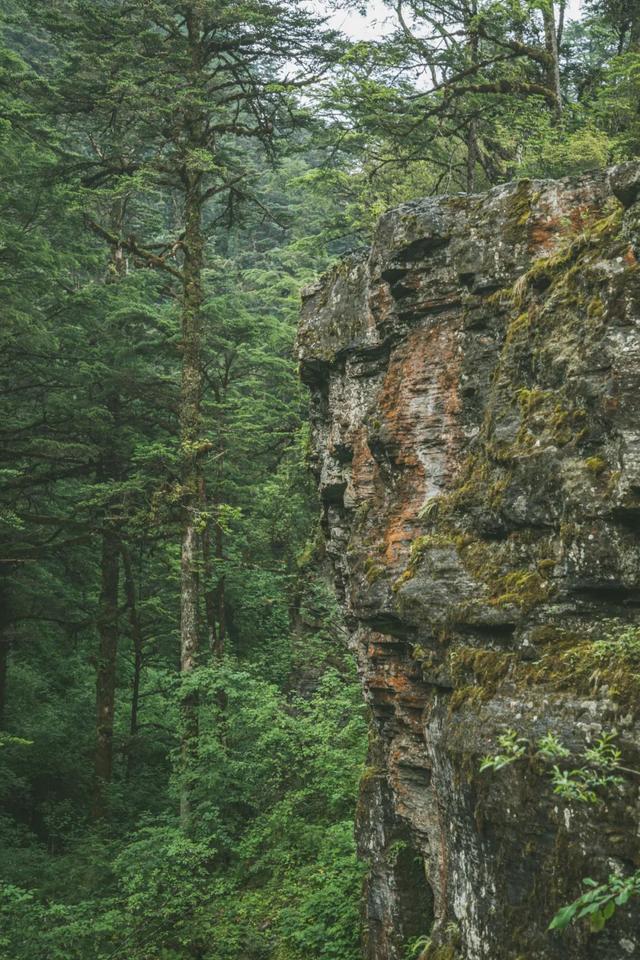 |别再喊热了!这个被央视疯狂点赞的避暑秘境,18℃!爆凉快!