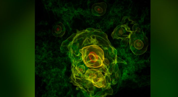 宇宙的初始状态是怎样的？只是暴胀子团块？ 这次实验或可揭示