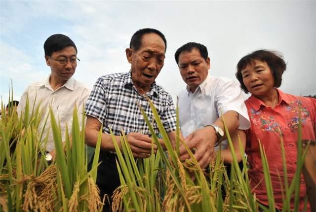 袁隆平院士的爱情:邓哲请嫁给我吧,我们赶紧去市政府把证办了吧