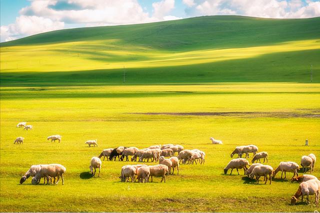 草原|内蒙古一美丽草原、风景优美、水草丰美，还是游牧民族的发祥地