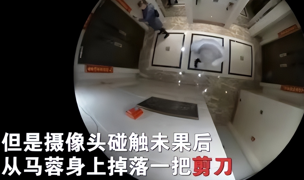 马蓉|六年过去了，如今的马蓉处境如何，曾经风光无限，现在陷入泥潭