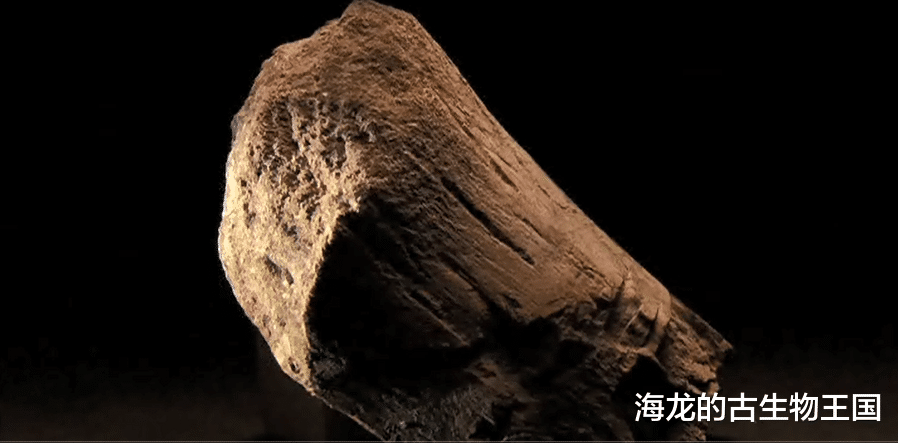 阿尔伯特龙是如何捕猎的?