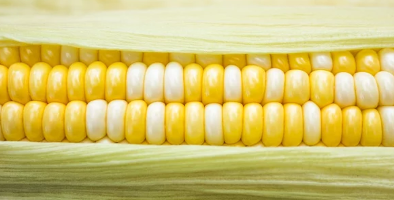 心脑血管疾病|维生素P能预防心脑血管疾病,但这样烹调会被完全浪费!