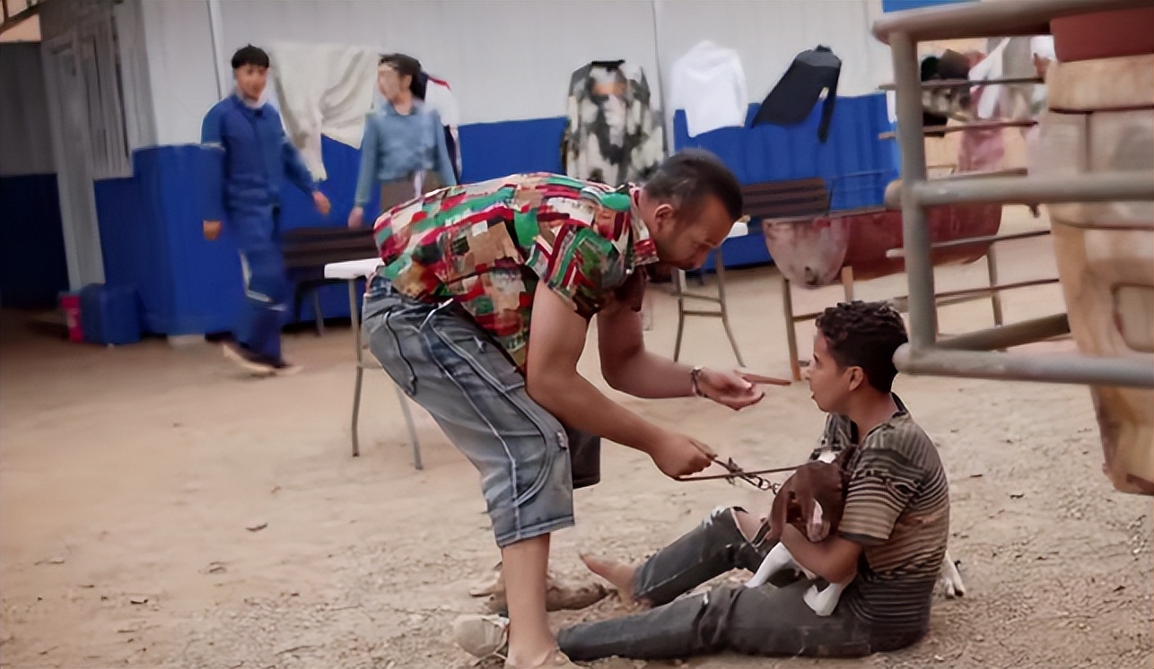 王凯|播出2集,收视率破1!王凯一出手,就给四大卫视带来了“王炸”