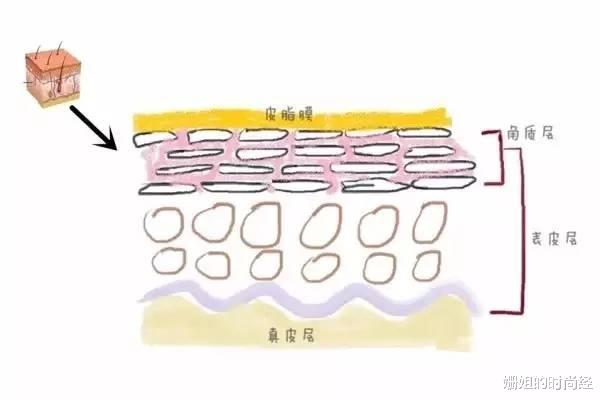 vera wang “清水洗脸”与“洗面奶洗脸”,哪个对皮肤更好? 差距真不小