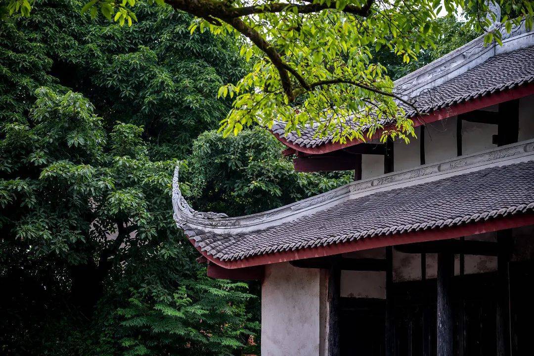 华蓥山|争创天府旅游名县｜看！大美华蓥