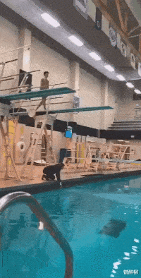 給你一個億|“讓你卸載三個APP，完事給你一個億，你會卸載哪三個？”