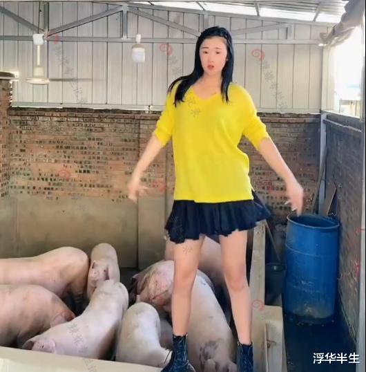 女网红站猪圈上跳舞,猪就是自己的粉丝,网友:这是想红想疯了