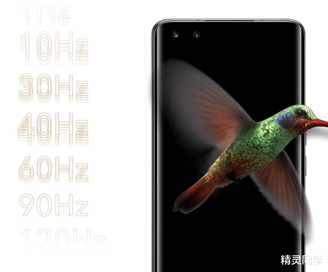 中兴|国产手机屏幕成热门新宠,中兴、OPPO这两款高颜值产品都在用