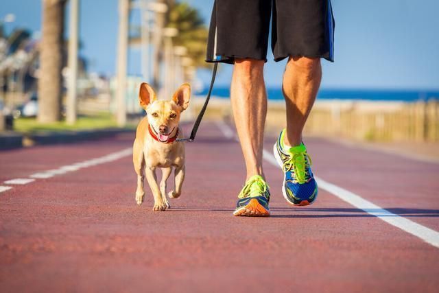 运动|走路能看出寿命长短？中工院院士张伯礼：若能达到这个数，更健康