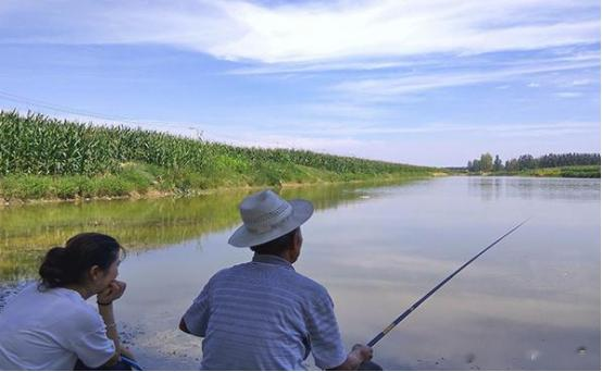 饵料|夏季钓鱼,钓位是根本,做好4点,大小水面都能钓,爆护也不难