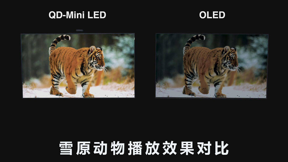OLED|QD-Mini LED VS OLED:-40℃极寒对决,探寻意想不到的真相