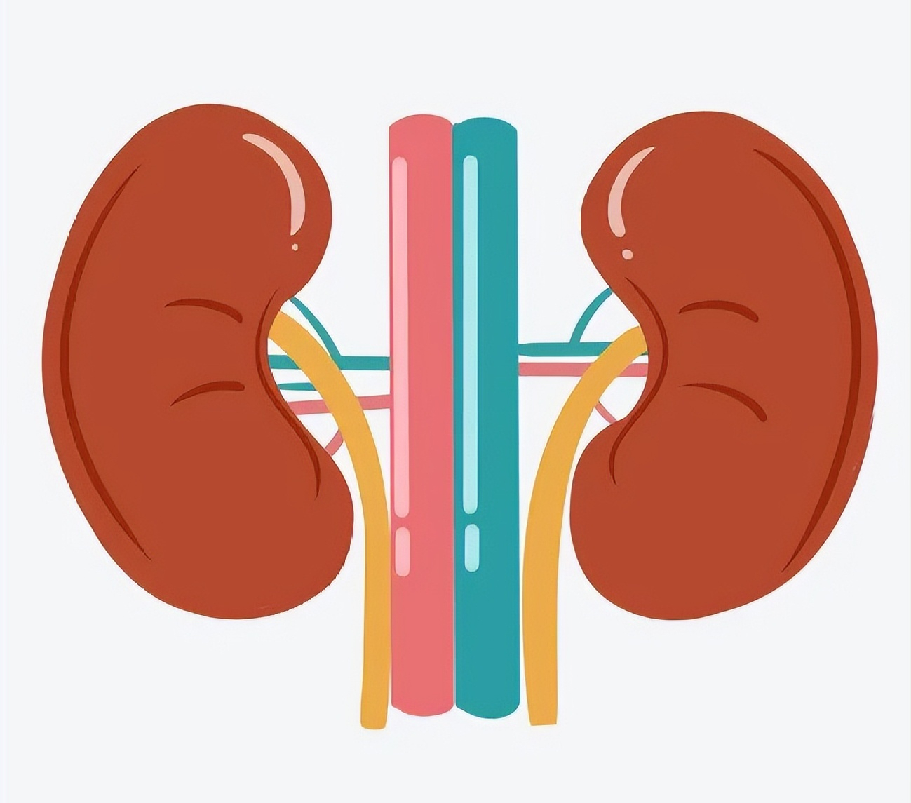医生|秋季肾虚易失眠掉发 几种食物补肾