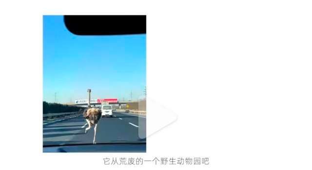 李宇春|李宇春身患重病?别再硬撑了!