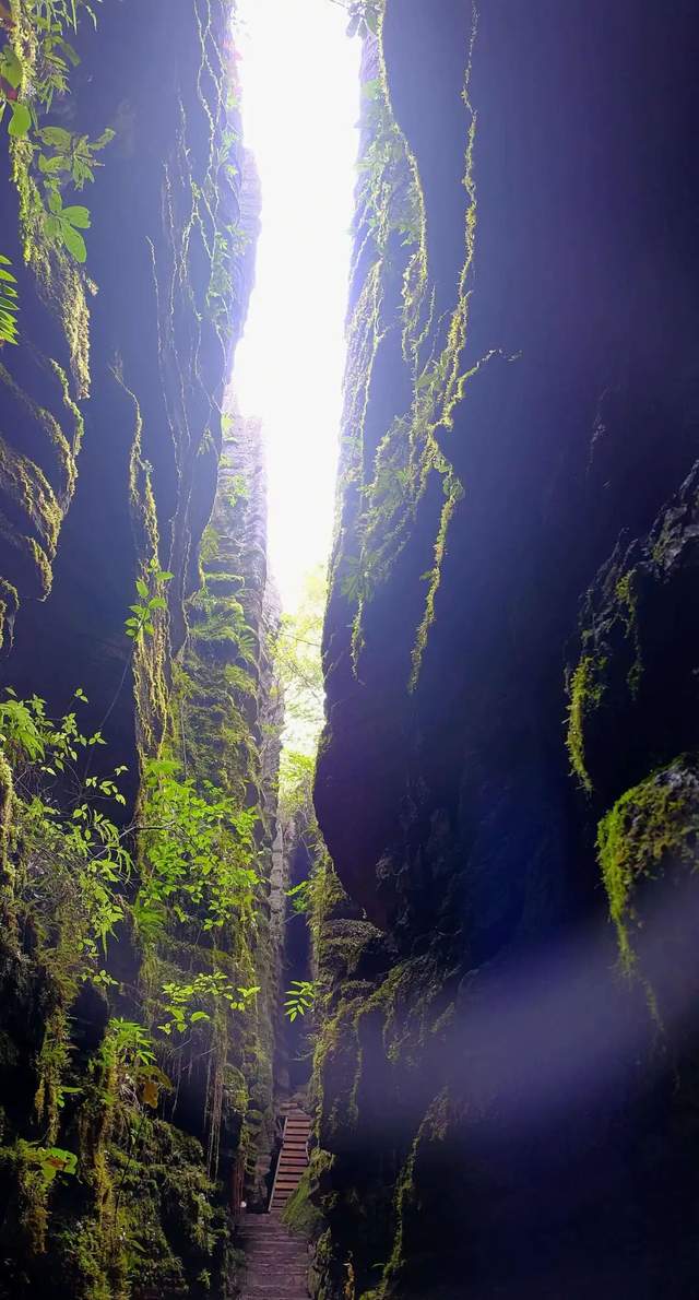 马尔代夫|风和日丽，万花绽放，这10个小众旅行圣地，第一个就秒掉马尔代夫