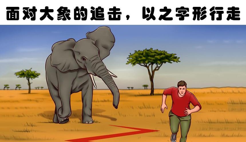 在7个危险情况下,为你带来帮助的生存技巧
