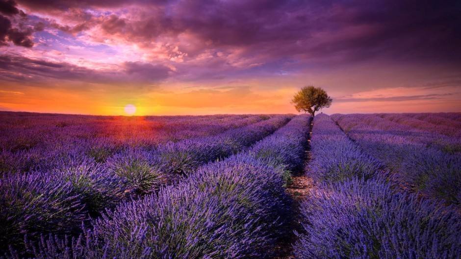 |全球公认最美的十个风景区,足不出户就能看!