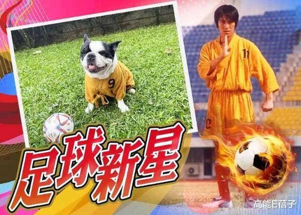 周星驰|猜中阿根廷队战胜法国队，周星驰的爱犬也要加入预测帝队伍吗？
