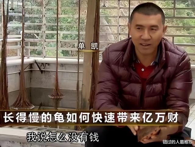 男子花百万买下三只臭龟,别人都笑他傻,谁知道四年后却靠龟翻身