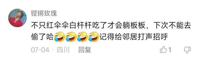 湖北:女子偷吃邻居家的李子中毒,住院3天被大爷大妈轮流取笑