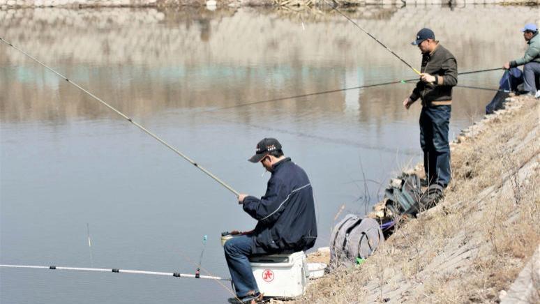 |钓鱼新手误打误撞，有时比老钓手钓的鱼要大、要多，知道为什么吗？