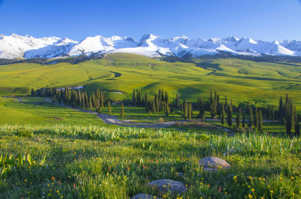 新疆维吾尔自治区|新疆，‘心’的‘疆土’，我在这里等你