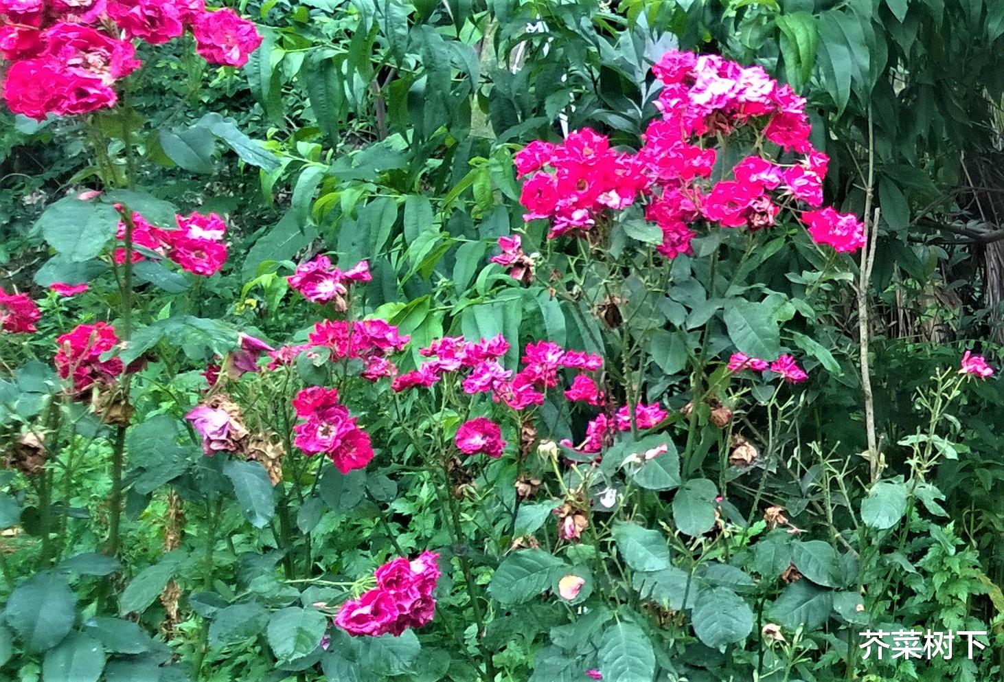 |投入地工作,试过吗?