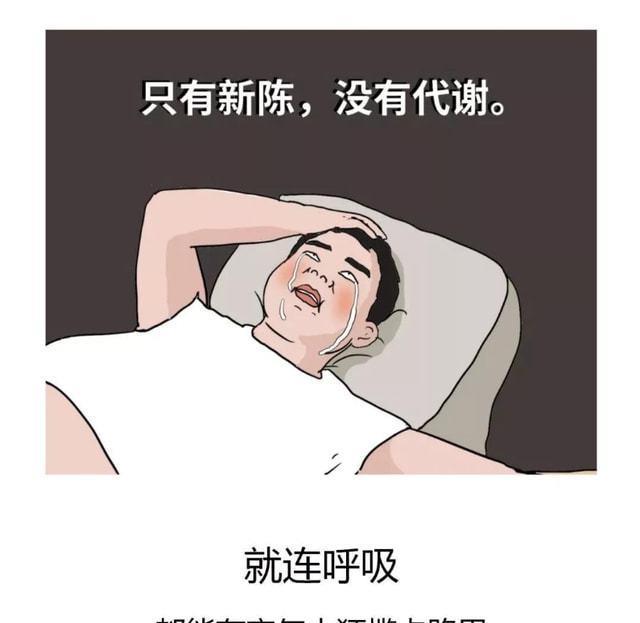 |为何人到中年，会胖成“球”？一组漫画揭秘，看完希望能理性对待
