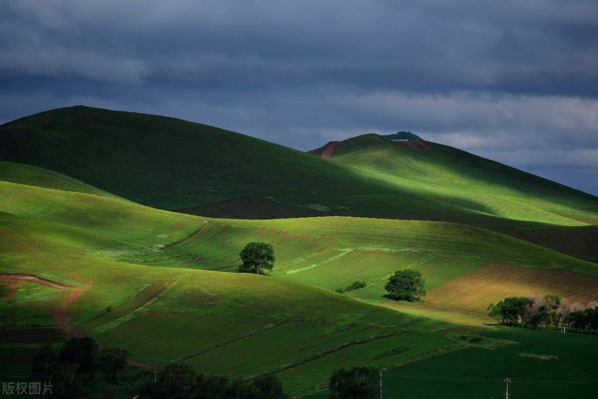 |郭进拴|绝美的坝上