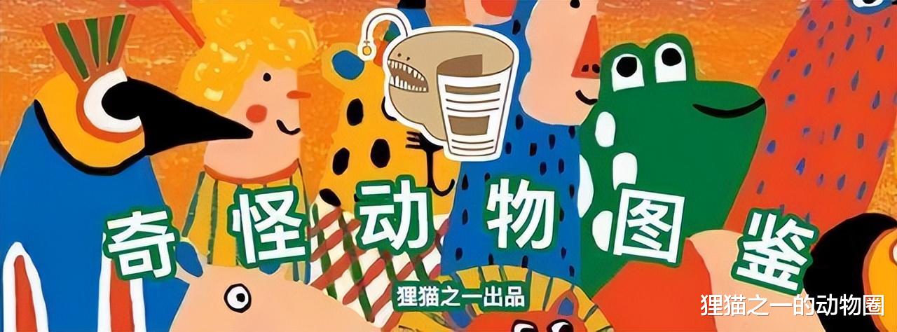 多样化的鲨鱼种群:来看看世界上最小、最奇怪和最栖息地最深的鲨鱼