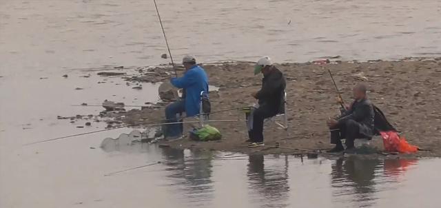 |河南一河道成天然黑坑,成百上千的钓鱼人蜂拥而至,网友:该管管