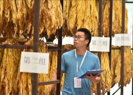 招聘|年薪20万起步的烟草局,为何9成毕业生没机会,过来人说出实话