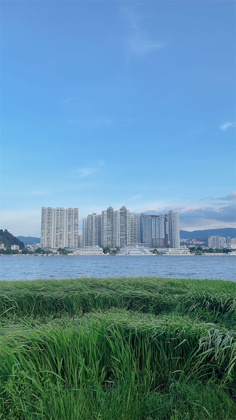 大理|大瑞铁路大保段开启试运营，保山到大理不到80分钟！