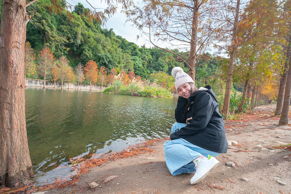 油菜花|大溪月眉落羽松隐藏桃园大溪月眉湿地，这一片大溪落羽松红了！湖畔倒影整个美爆