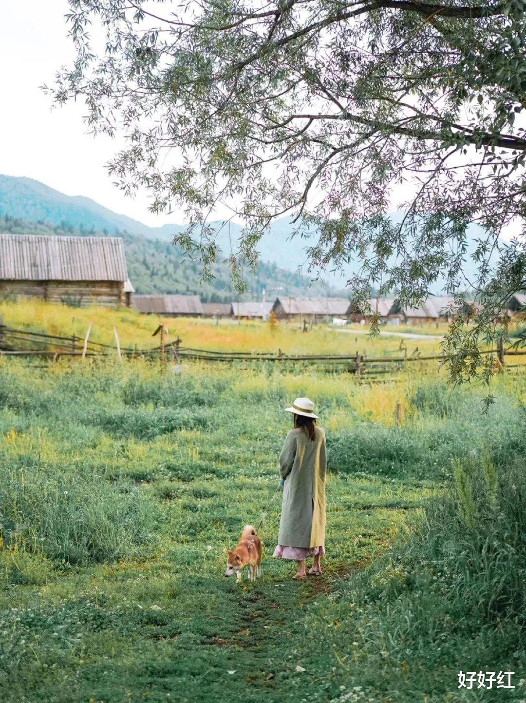 草原|私藏“中国最美公路”，一年仅开放5个月！这里的夏日，一次看遍草原雪山湖泊！