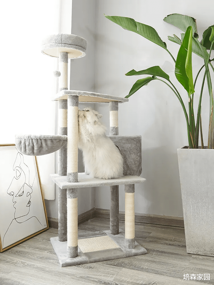 让猫咪幸福感爆棚的玩具，你知道几个？