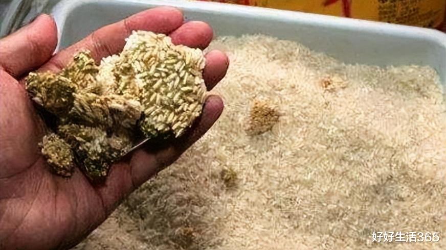 经常吃酵母蒸的馒头,对身体有害吗?为了家人的健康,不妨看看