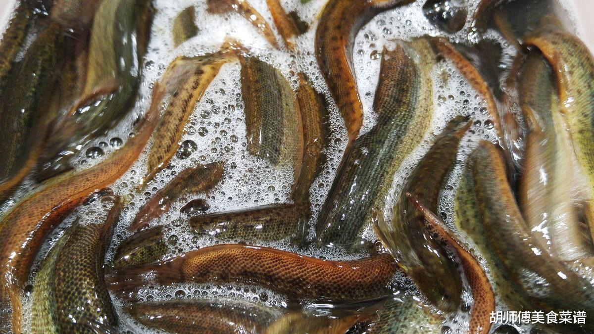 重金属|这6种“最脏”的鱼，含有大量的寄生虫和重金属，很多人不懂，还天天买来吃