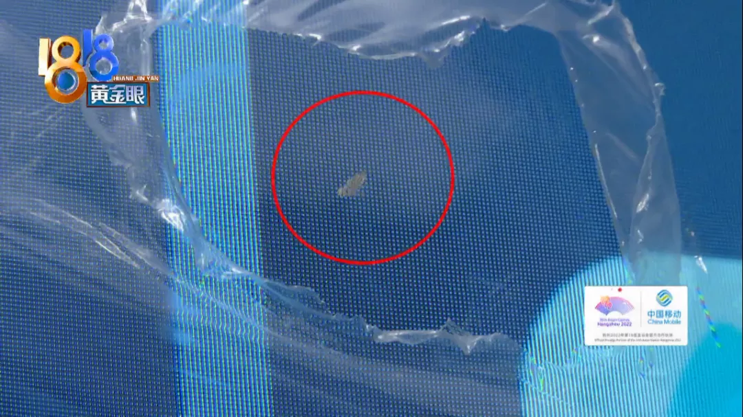 电视机|怀疑买到山寨电视机，卖家说是“同款”