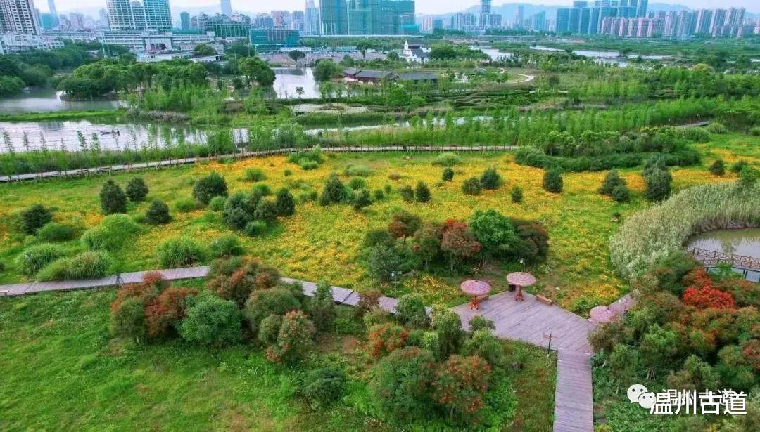 |惊艳了！这才是五月最上镜的地方！一起去打卡湿地初夏美景~