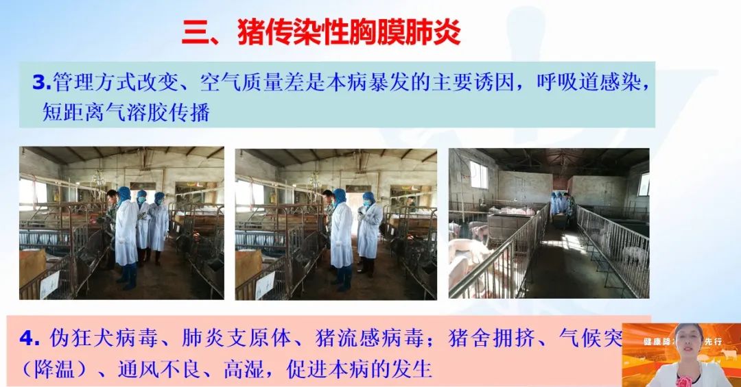 农科院动物研究所李春玲:饲料禁抗新常态下,猪细菌病如何进行综合防控?